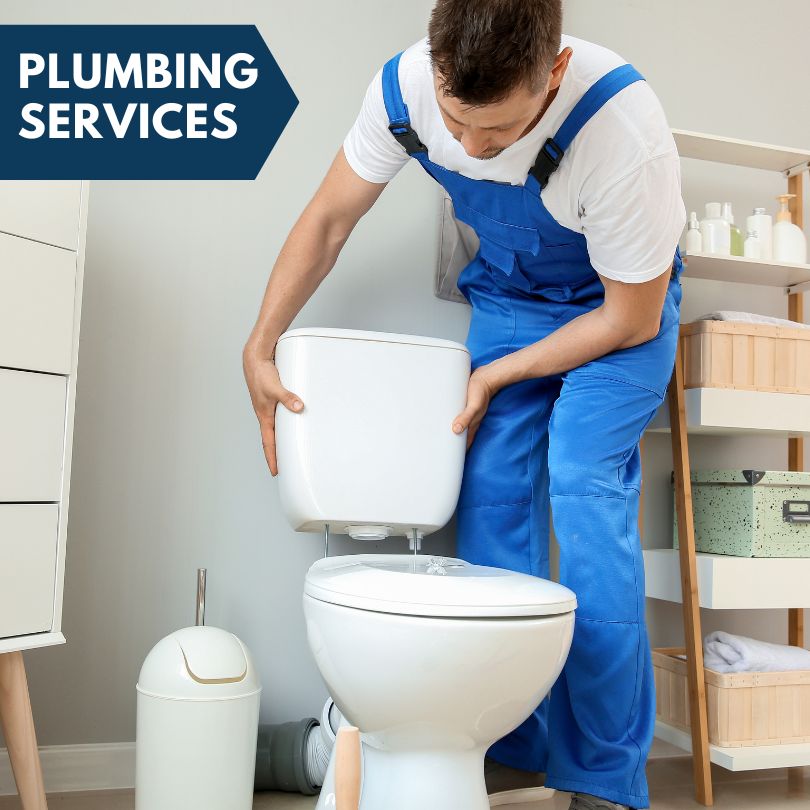 Plumbing Company in Carol Stream, IL